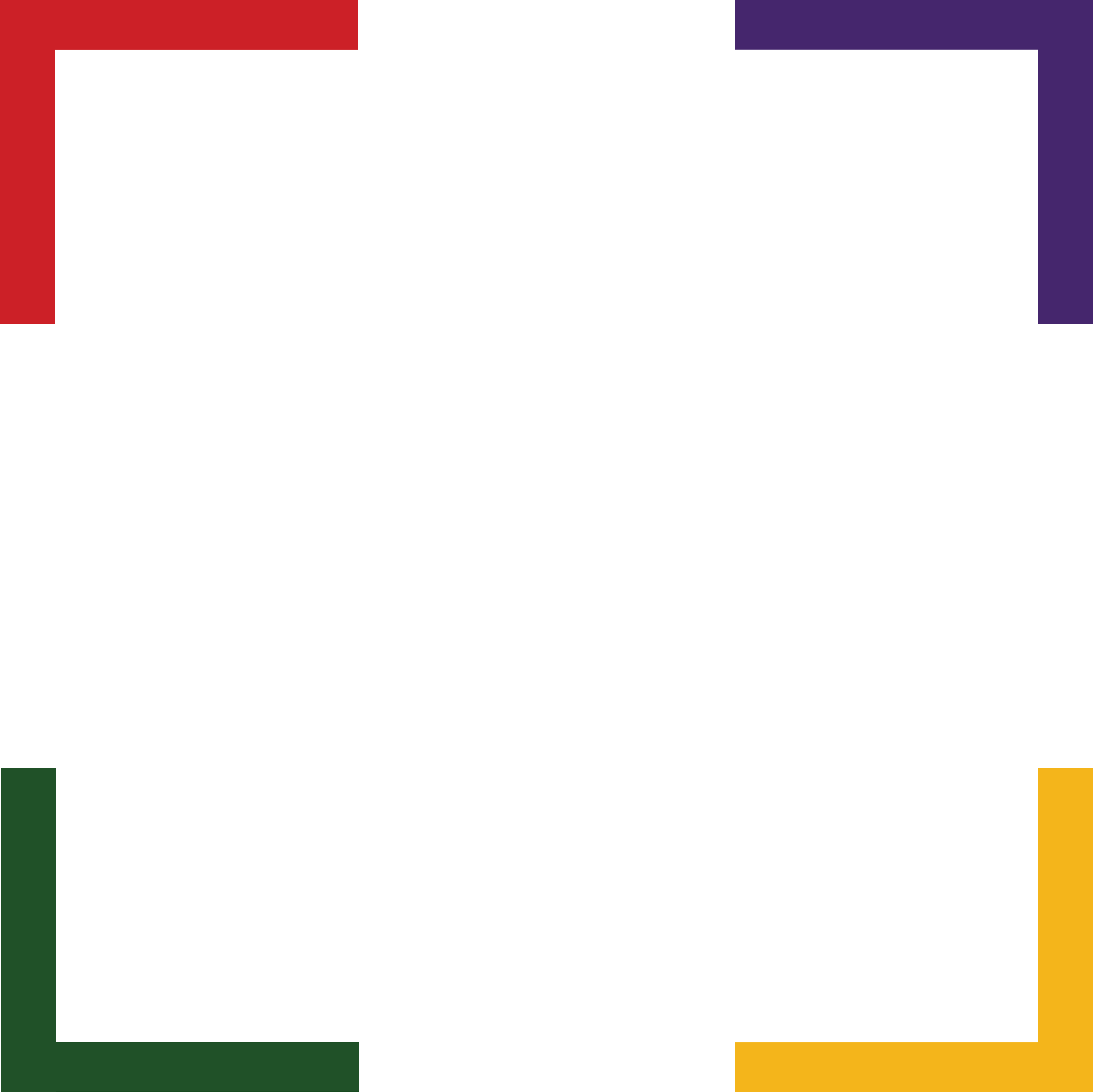 Black Male Voter Project