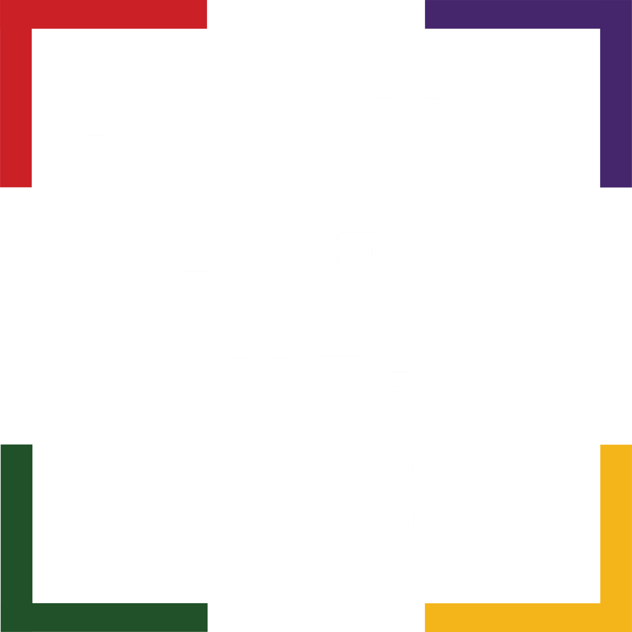 Black Male Voter Project
